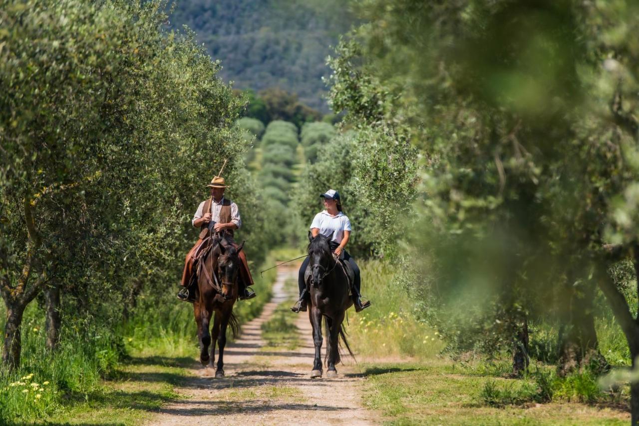 Tenuta Agricola Dell'Uccellina Talamone Exterior foto