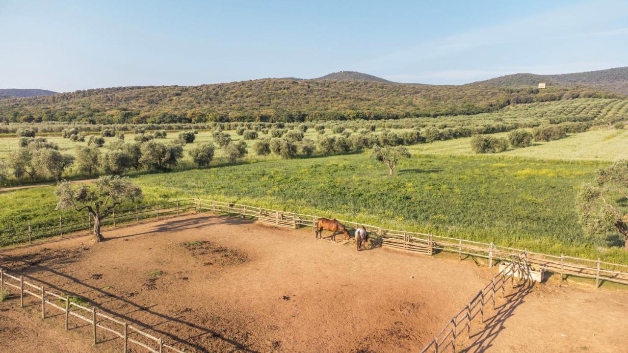 Tenuta Agricola Dell'Uccellina Talamone Exterior foto