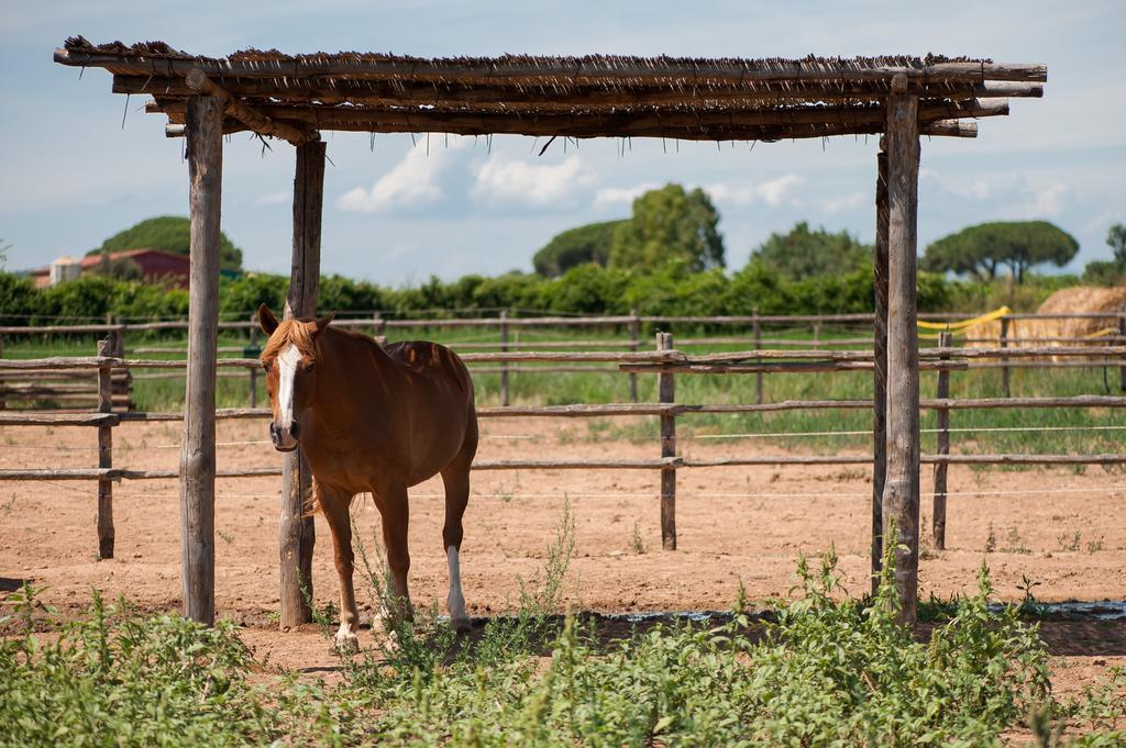Tenuta Agricola Dell'Uccellina Talamone Exterior foto